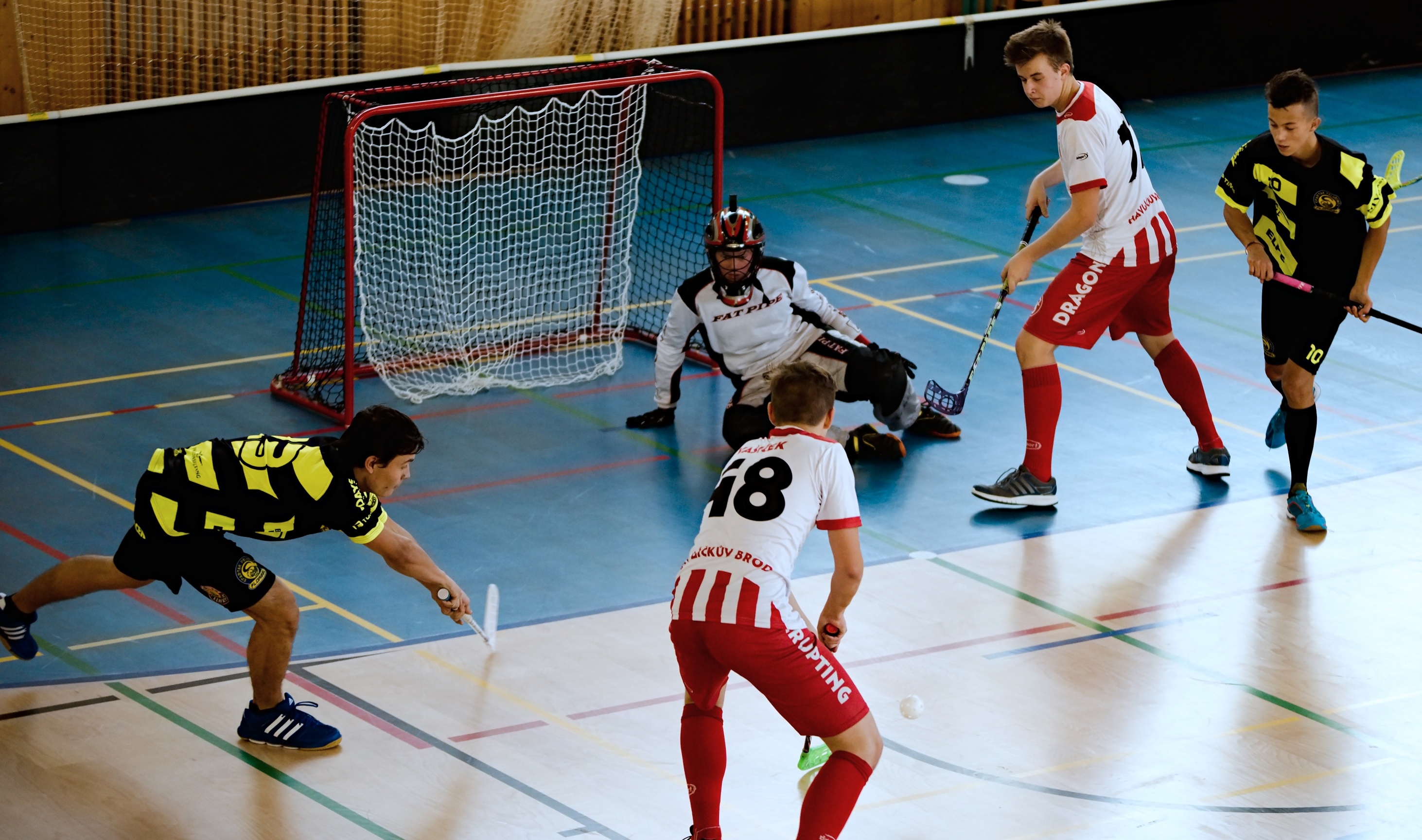 JunciLedec241015 027